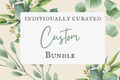 Custom-Curated Theme Bundle